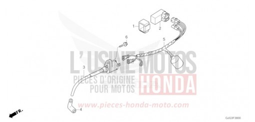 WIRE HARNESS CRF50FN de 2022